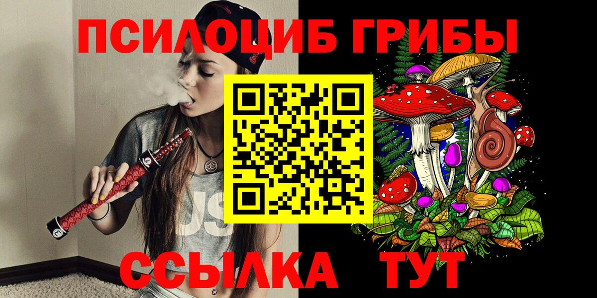 купить закладку  Вход с VPN  Галлюциногенные грибы Magic Shrooms  Советская Гавань  Галлюциногенные грибы Cubensis 